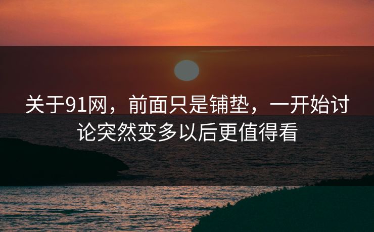 关于91网，前面只是铺垫，一开始讨论突然变多以后更值得看