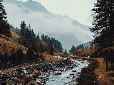 别再错过——蘑菇影视在线观看为什么总被反复提起不是噱头，细看确实有东西