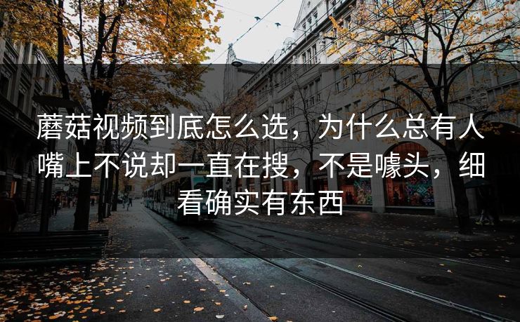 蘑菇视频到底怎么选，为什么总有人嘴上不说却一直在搜，不是噱头，细看确实有东西