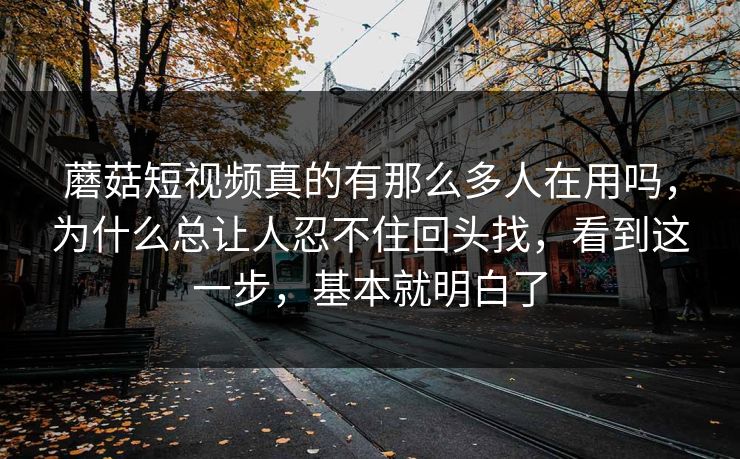 蘑菇短视频真的有那么多人在用吗，为什么总让人忍不住回头找，看到这一步，基本就明白了