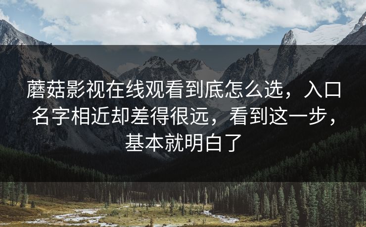 蘑菇影视在线观看到底怎么选，入口名字相近却差得很远，看到这一步，基本就明白了