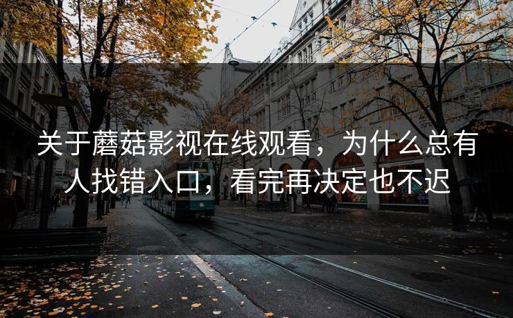关于蘑菇影视在线观看，为什么总有人找错入口，看完再决定也不迟