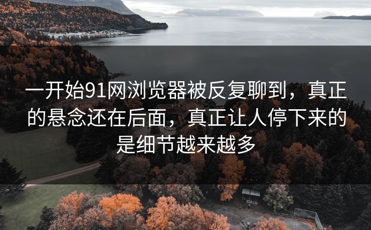 一开始91网浏览器被反复聊到，真正的悬念还在后面，真正让人停下来的是细节越来越多