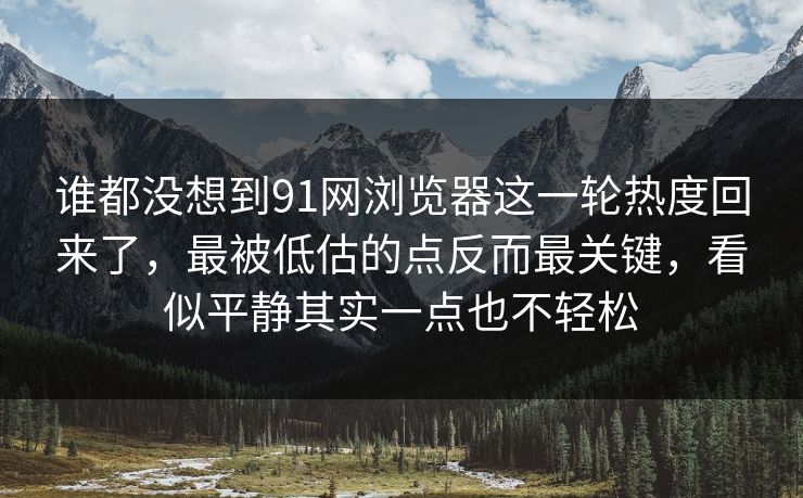 谁都没想到91网浏览器这一轮热度回来了，最被低估的点反而最关键，看似平静其实一点也不轻松