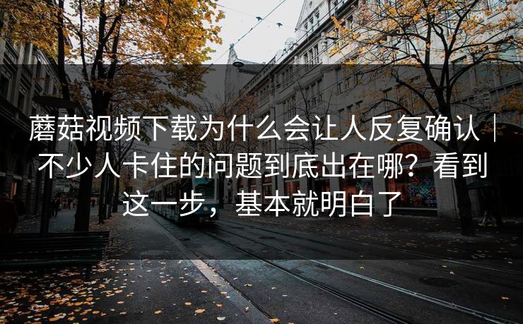 蘑菇视频下载为什么会让人反复确认｜不少人卡住的问题到底出在哪？看到这一步，基本就明白了