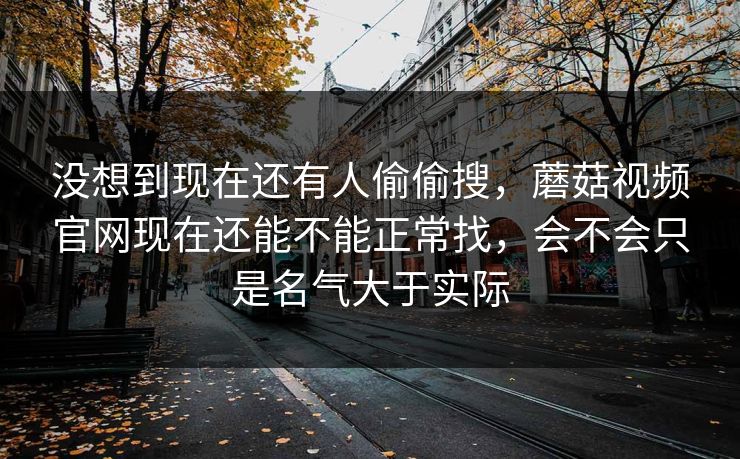 没想到现在还有人偷偷搜，蘑菇视频官网现在还能不能正常找，会不会只是名气大于实际