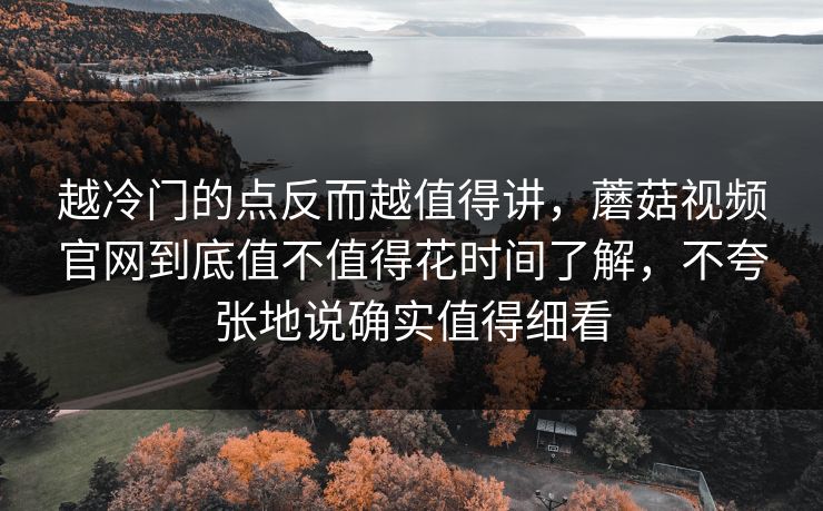 越冷门的点反而越值得讲，蘑菇视频官网到底值不值得花时间了解，不夸张地说确实值得细看  第1张
