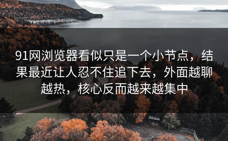 91网浏览器看似只是一个小节点，结果最近让人忍不住追下去，外面越聊越热，核心反而越来越集中