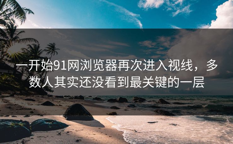 一开始91网浏览器再次进入视线，多数人其实还没看到最关键的一层
