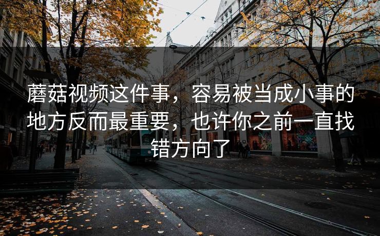 蘑菇视频这件事，容易被当成小事的地方反而最重要，也许你之前一直找错方向了