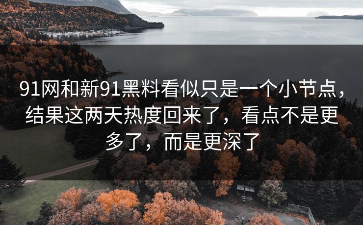 91网和新91黑料看似只是一个小节点，结果这两天热度回来了，看点不是更多了，而是更深了