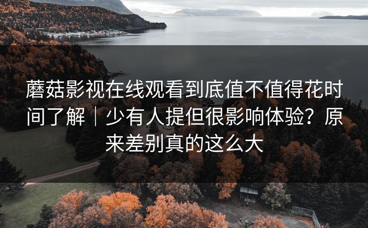 蘑菇影视在线观看到底值不值得花时间了解|少有人提但很影响体验?原来差别真的这么大