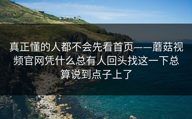 真正懂的人都不会先看首页——蘑菇视频官网凭什么总有人回头找这一下总算说到点子上了